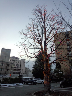 DSC_1259.jpg